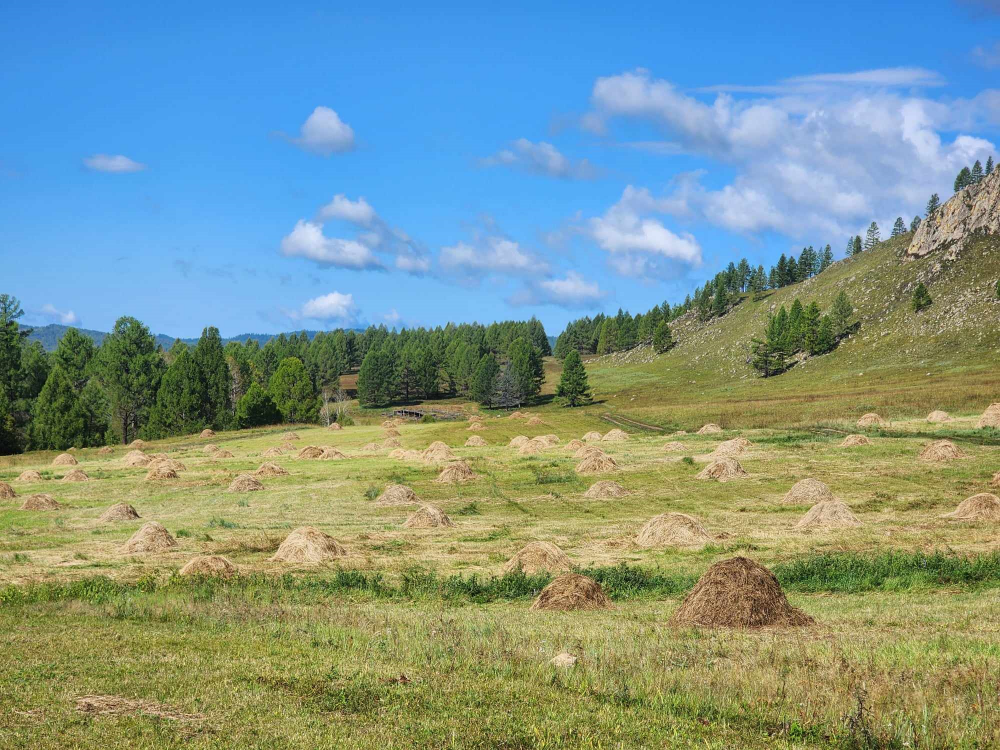 Ирэх арав хоногт цаг агаар ямар байх вэ